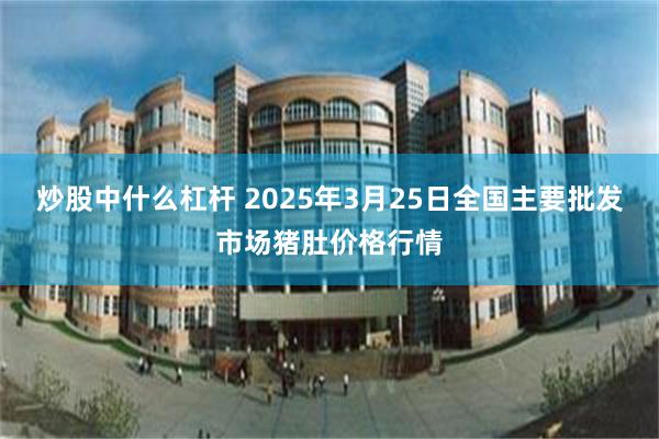 炒股中什么杠杆 2025年3月25日全国主要批发市场猪肚价格行情