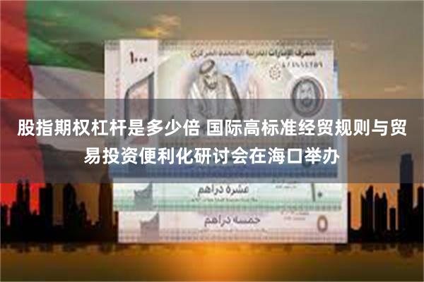 股指期权杠杆是多少倍 国际高标准经贸规则与贸易投资便利化研讨会在海口举办