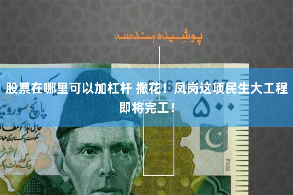 股票在哪里可以加杠杆 撒花！凤岗这项民生大工程即将完工！