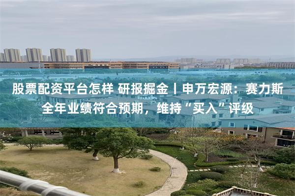 股票配资平台怎样 研报掘金丨申万宏源：赛力斯全年业绩符合预期，维持“买入”评级