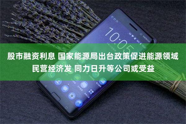 股市融资利息 国家能源局出台政策促进能源领域民营经济发 同力日升等公司或受益