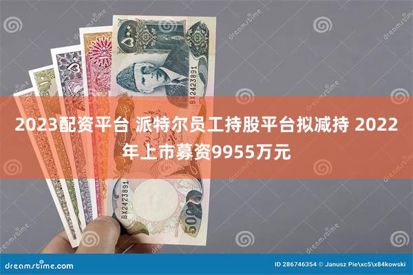 2023配资平台 派特尔员工持股平台拟减持 2022年上市募资9955万元