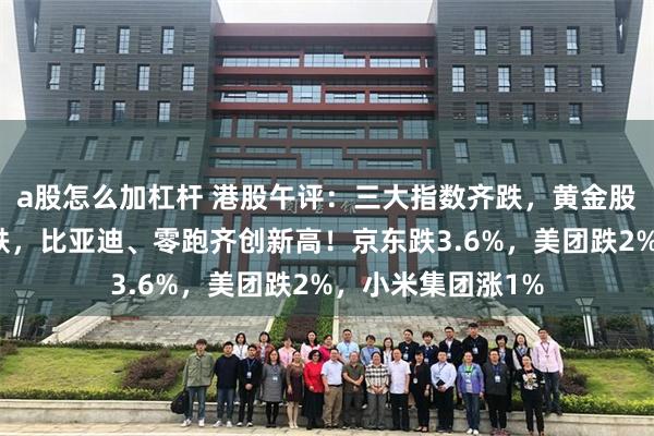 a股怎么加杠杆 港股午评：三大指数齐跌，黄金股、中资券商股普跌，比亚迪、零跑齐创新高！京东跌3.6%，美团跌2%，小米集团涨1%