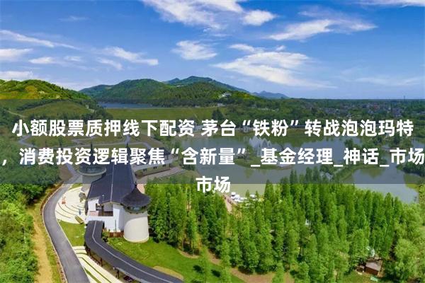 小额股票质押线下配资 茅台“铁粉”转战泡泡玛特，消费投资逻辑聚焦“含新量”_基金经理_神话_市场