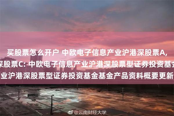 买股票怎么开户 中欧电子信息产业沪港深股票A,中欧电子信息产业沪港深股票C: 中欧电子信息产业沪港深股票型证券投资基金基金产品资料概要更新
