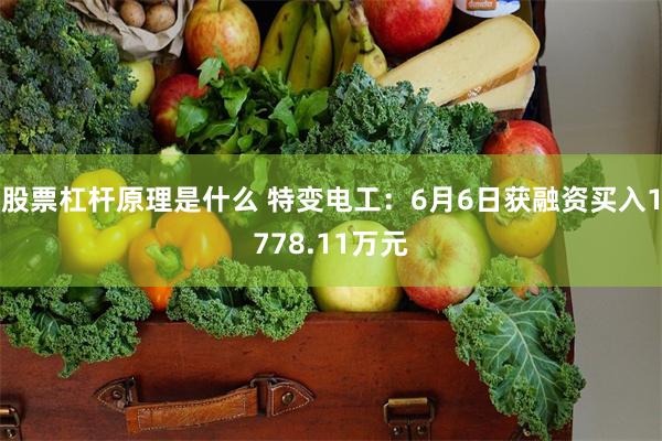 股票杠杆原理是什么 特变电工：6月6日获融资买入1778.11万元