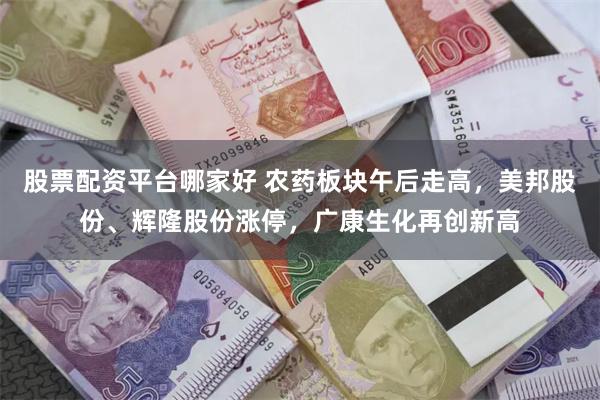 股票配资平台哪家好 农药板块午后走高，美邦股份、辉隆股份涨停，广康生化再创新高