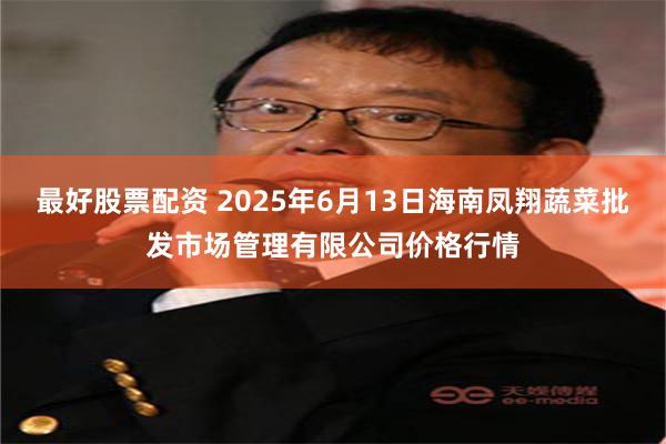 最好股票配资 2025年6月13日海南凤翔蔬菜批发市场管理有限公司价格行情
