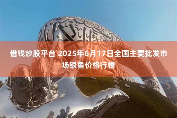 借钱炒股平台 2025年6月17日全国主要批发市场银鱼价格行情