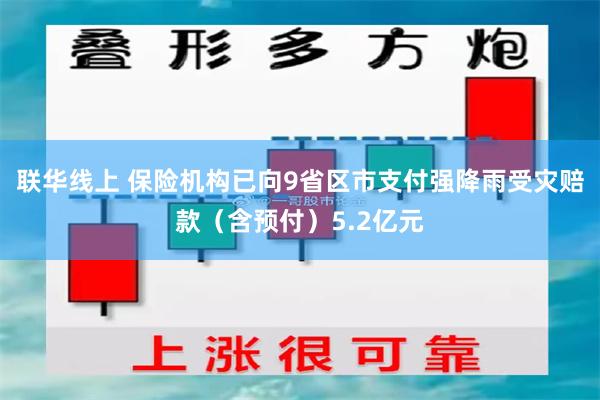 联华线上 保险机构已向9省区市支付强降雨受灾赔款（含预付）5.2亿元