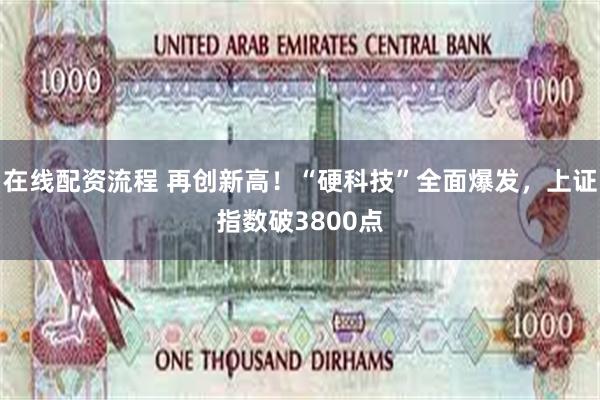 在线配资流程 再创新高！“硬科技”全面爆发，上证指数破3800点