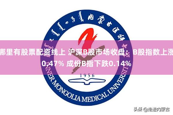 哪里有股票配资线上 沪深B股市场收盘：B股指数上涨0.47% 成份B指下跌0.14%